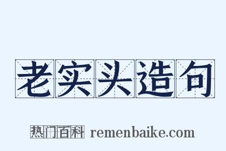 老实头造句是什么意思的图片